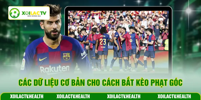 Các dữ liệu cơ bản cho cách bắt kèo phạt góc