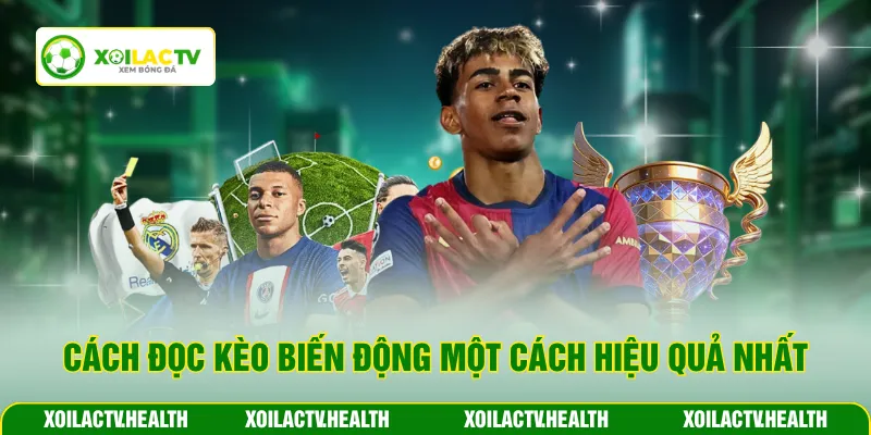 Cách đọc kèo biến động một cách hiệu quả nhất
