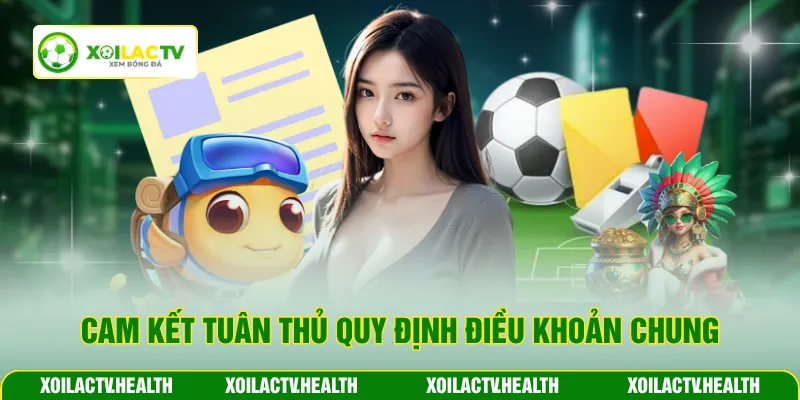Cam kết tuân thủ quy định điều khoản chung