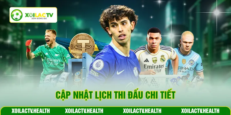 Cập nhật lịch thi đấu chi tiết