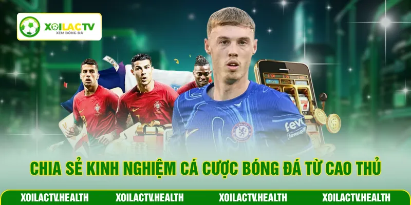 Chia sẻ kinh nghiệm cá cược bóng đá từ cao thủ