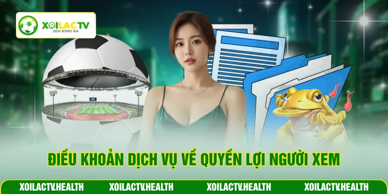 Điều khoản dịch vụ về quyền lợi người xem
