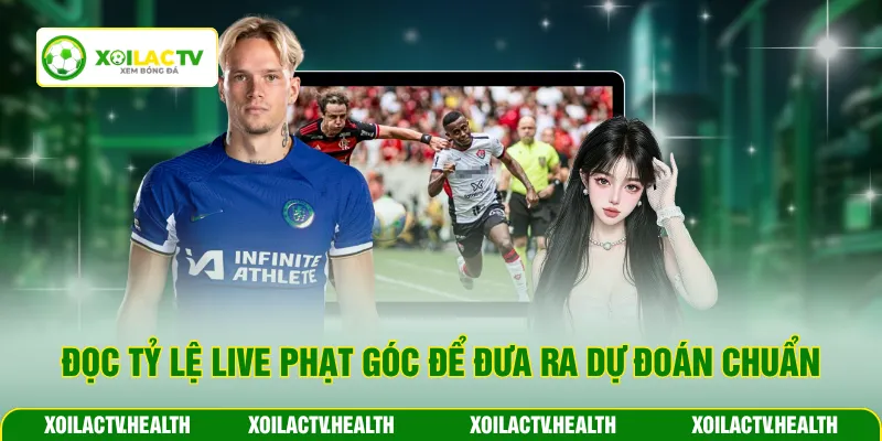 Đọc tỷ lệ live phạt góc để đưa ra dự đoán chuẩn