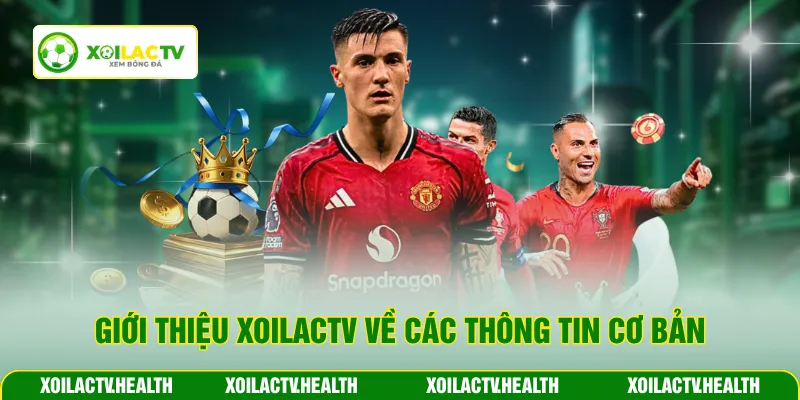 Giới Thiệu Xoilactv bề các thông tin cơ bản