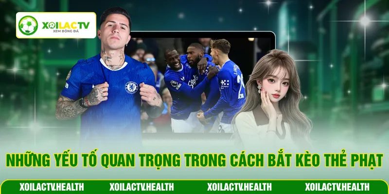 Những yếu tố quan trọng trong cách bắt kèo thẻ phạt